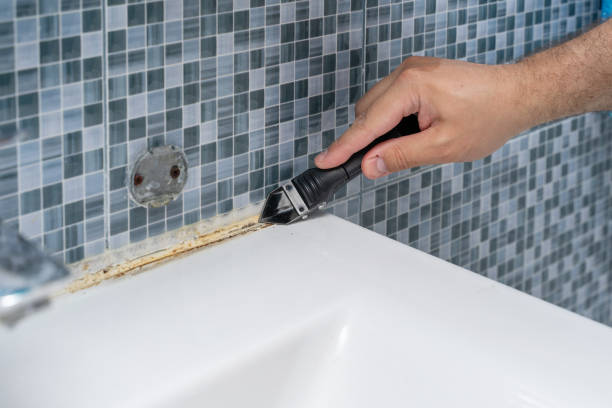Best Certified Mold Removal  in Gretna, LA
