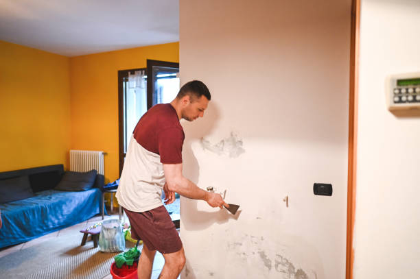 Best Local Mold Removal Service  in Gretna, LA